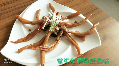 河南掌汇餐饮管理 以专业之力，掌餐饮之舵，汇合作之智